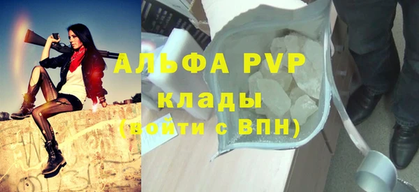 spice Карпинск