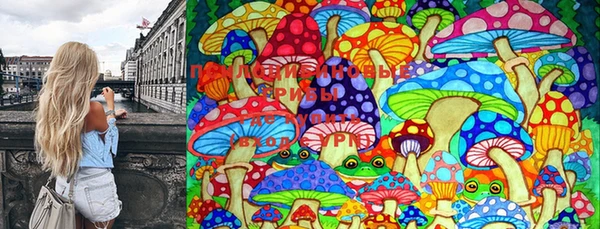 дживик Касимов