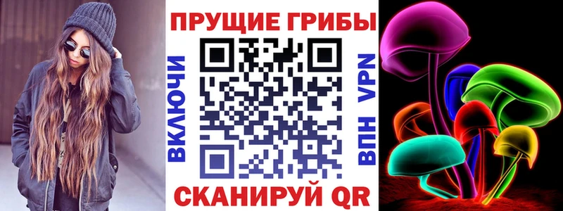 Галлюциногенные грибы Psilocybe  Купить закладки  Мещовск 